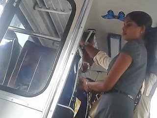 Srilankaise dresser mignon fille âne en bus